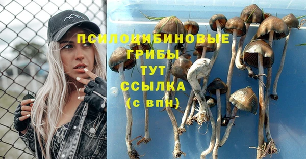 первитин Инсар