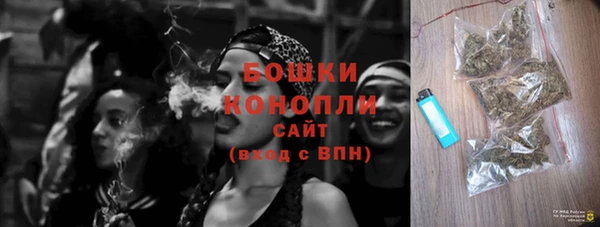 первитин Инсар
