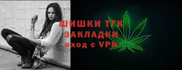 ПСИЛОЦИБИНОВЫЕ ГРИБЫ Инта