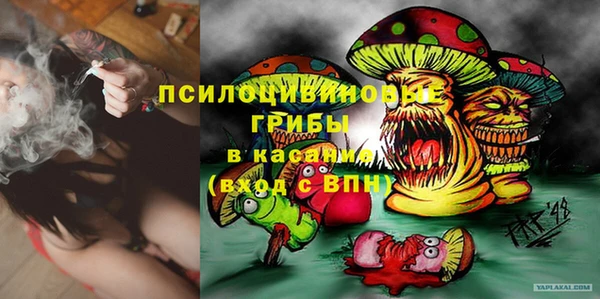 первитин Инсар