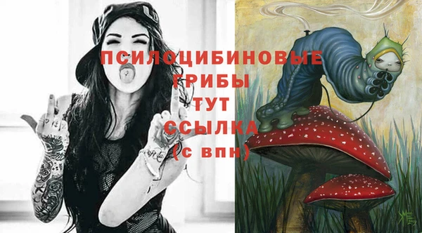 первитин Инсар