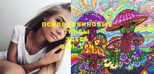 ПСИЛОЦИБИНОВЫЕ ГРИБЫ Инта
