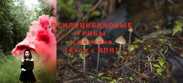 ПСИЛОЦИБИНОВЫЕ ГРИБЫ Инта
