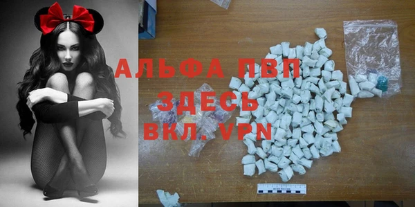 ПСИЛОЦИБИНОВЫЕ ГРИБЫ Инта