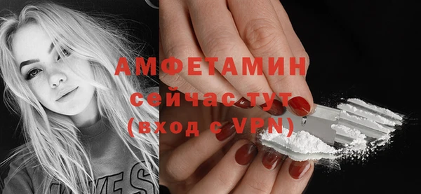 ПСИЛОЦИБИНОВЫЕ ГРИБЫ Инта