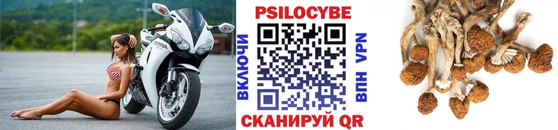 Купить где  Болотное  Псилоцибиновые грибы мухоморы 