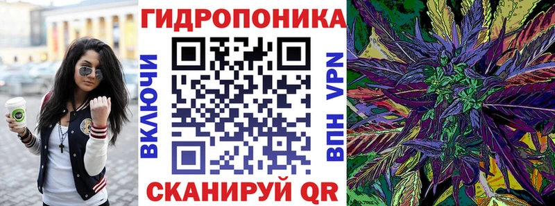 Бошки Шишки OG Kush  Купить где  Болотное 